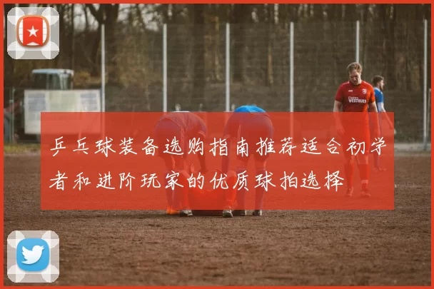 乒乓球装备选购指南推荐适合初学者和进阶玩家的优质球拍选择